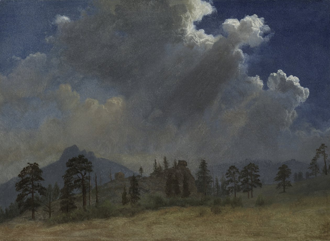 Abetos e nuvens de tempestade, c.1870 (óleo sobre papel montado sobre tela) de Albert Bierstadt