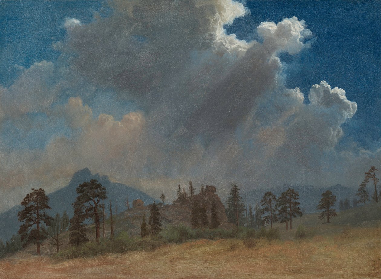 Abetos e nuvens de tempestade, c. 1870 de Albert Bierstadt