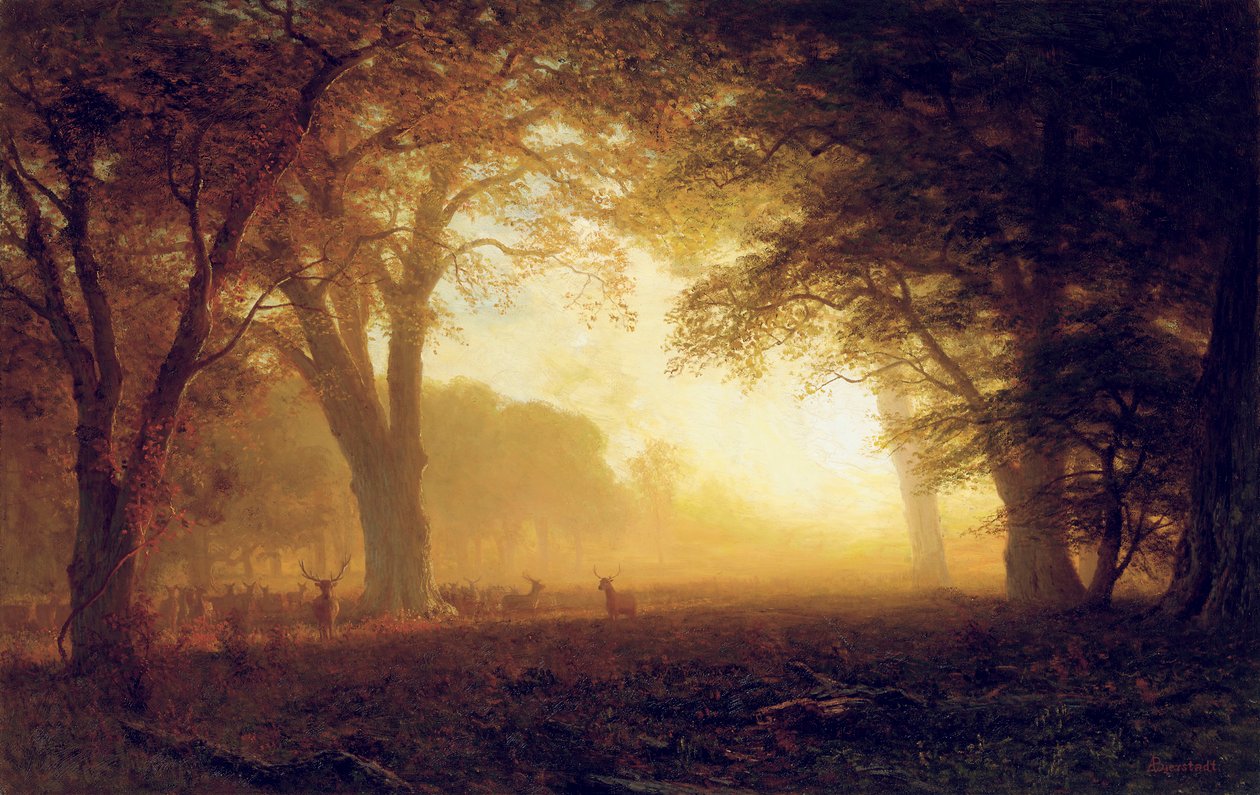 Luz dourada da Califórnia de Albert Bierstadt