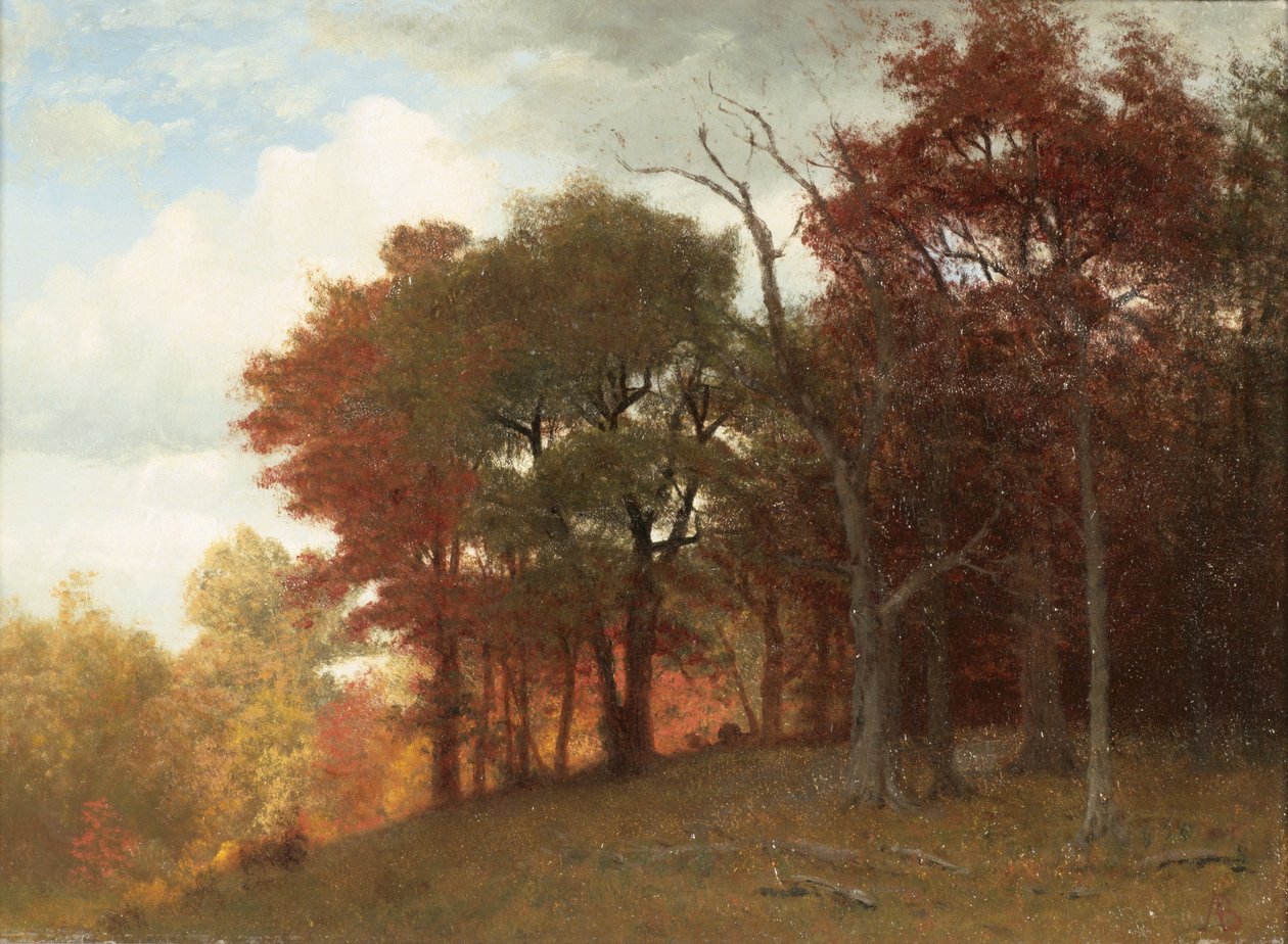 Hastings no rio Hudson, 1865 (óleo sobre linho) de Albert Bierstadt