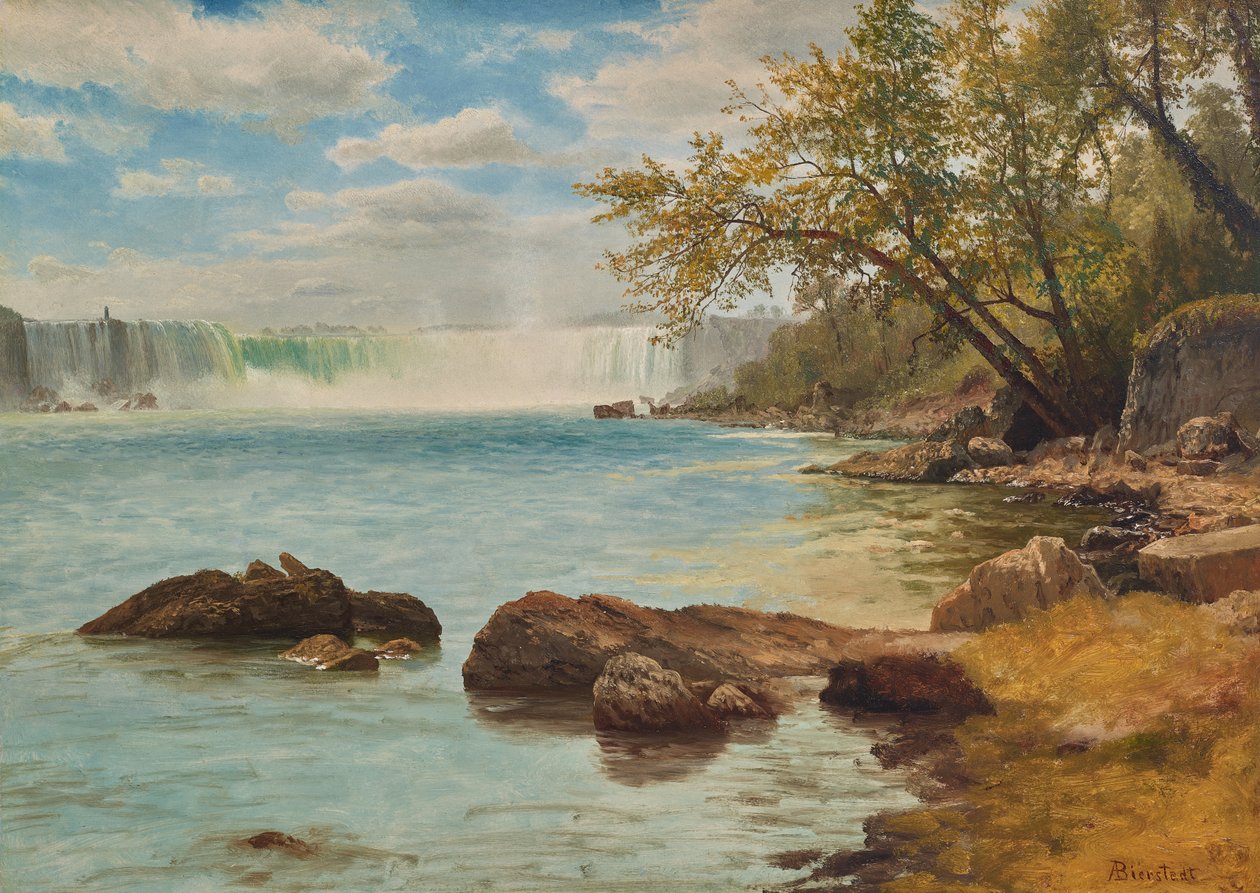 Cataratas do Niágara com a Torre Terrapin, c.1869 (óleo sobre papel) de Albert Bierstadt