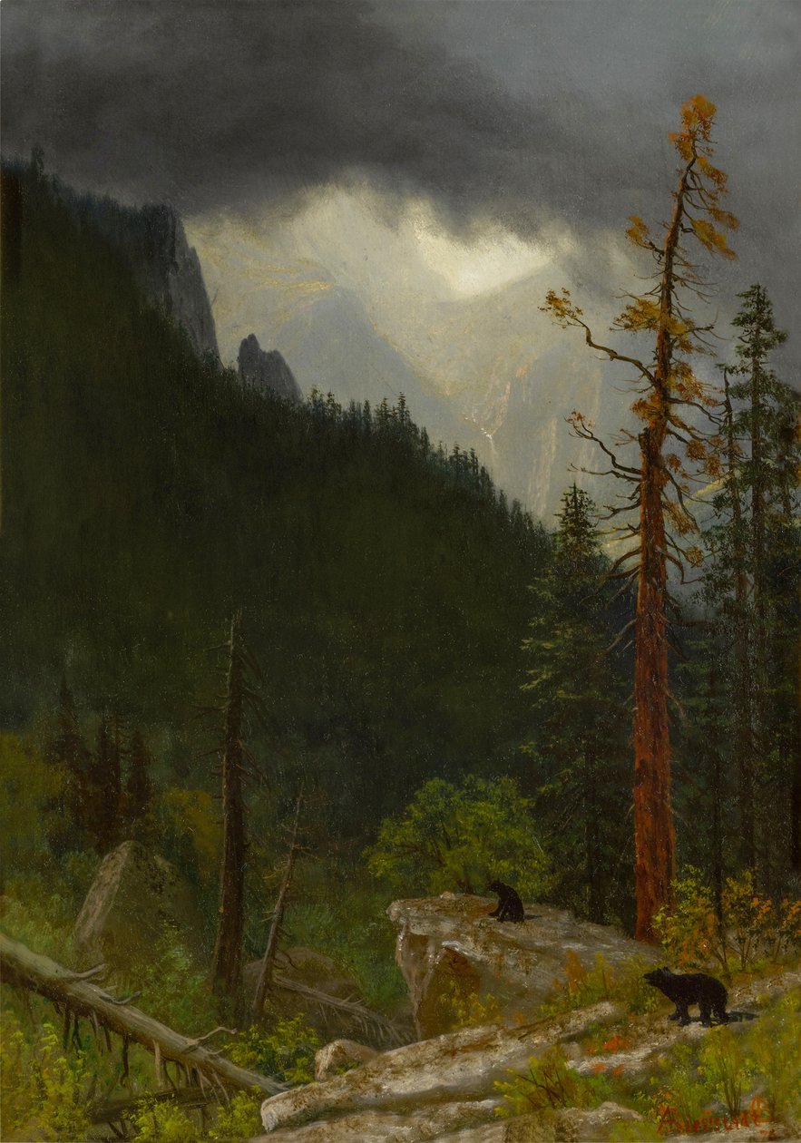As Montanhas Rochosas depois de uma tempestade de Albert Bierstadt
