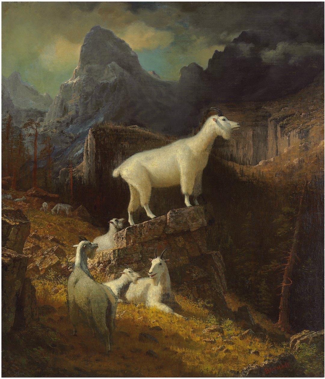 Rocky Mountain Goats, c.1885 (óleo sobre tela) de Albert Bierstadt
