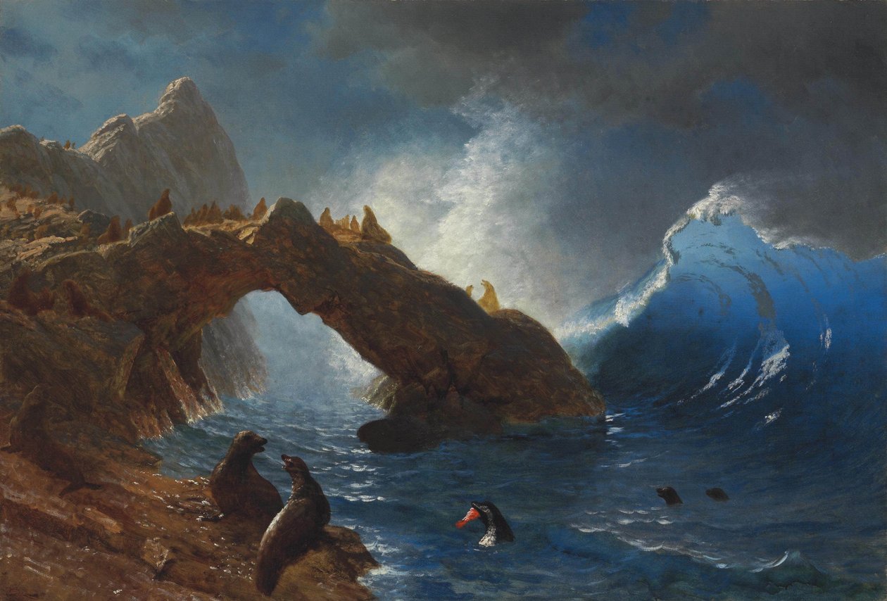 Focas nas rochas de Albert Bierstadt