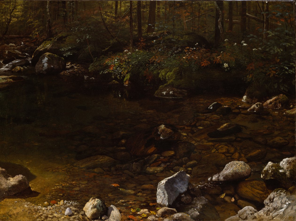 Lagoa sombreada, White Mountains, New Hampshire de Albert Bierstadt