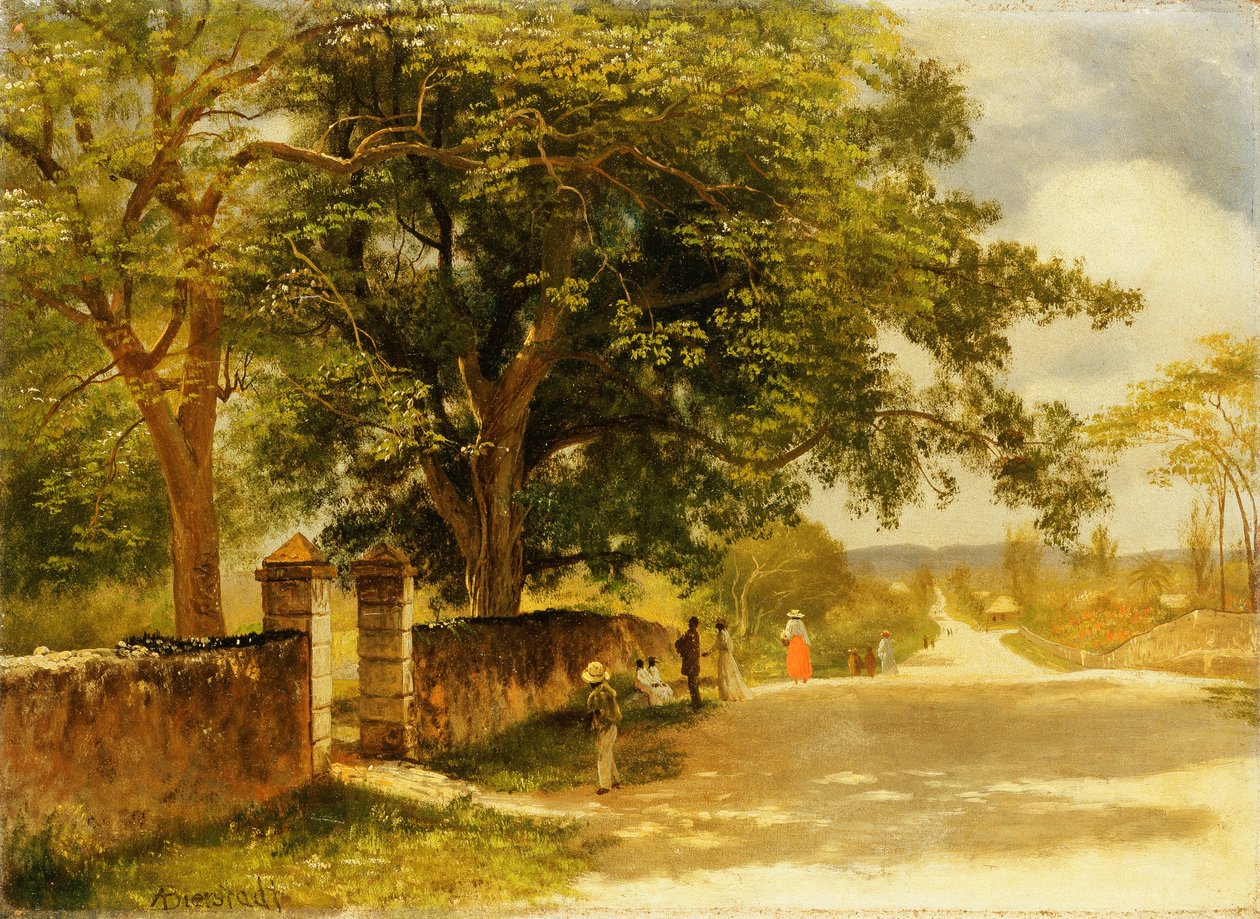 Rua em Nassau, c.1878 de Albert Bierstadt