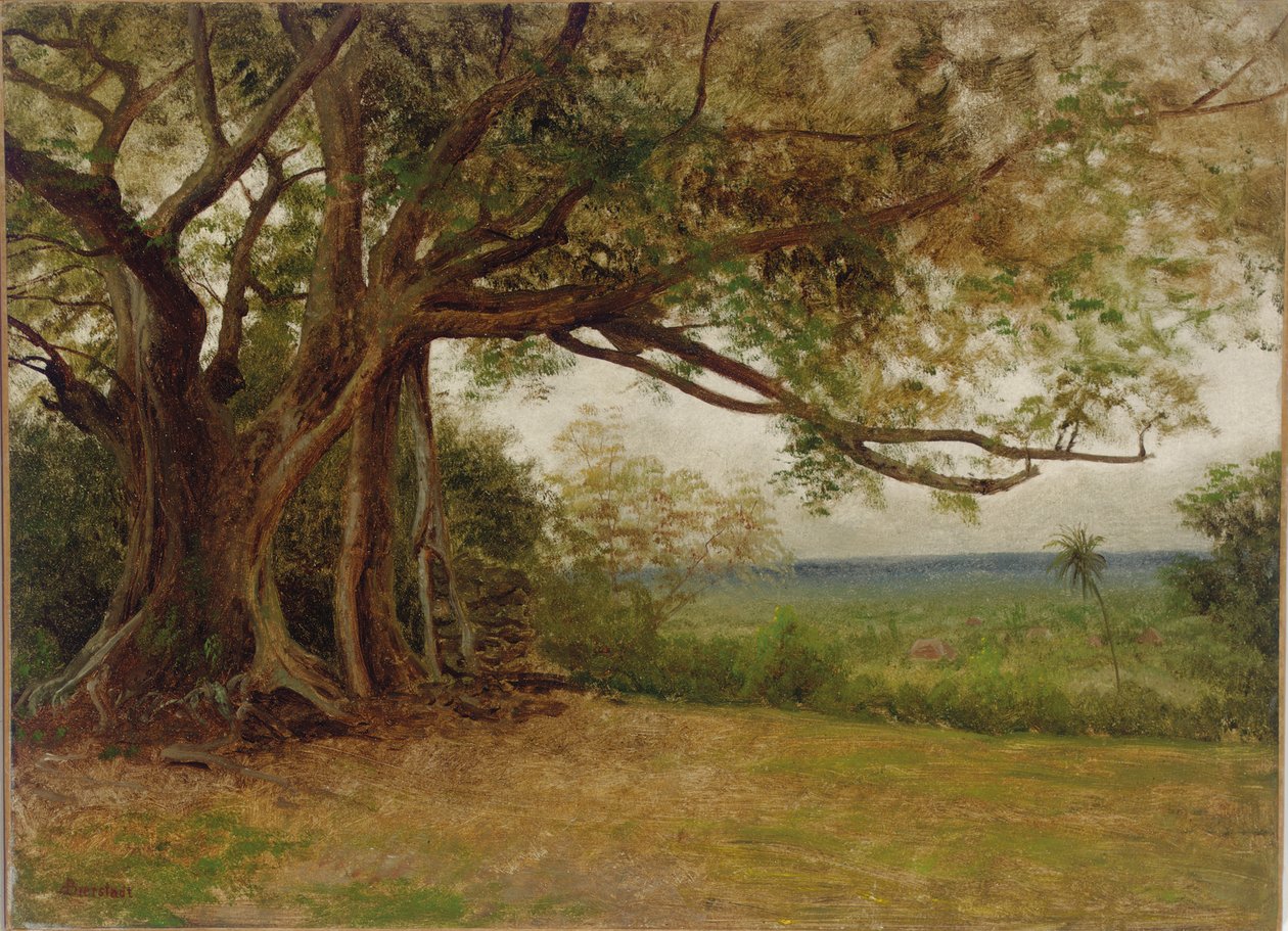 Estudo para "O desembarque de Colombo", 1892 de Albert Bierstadt