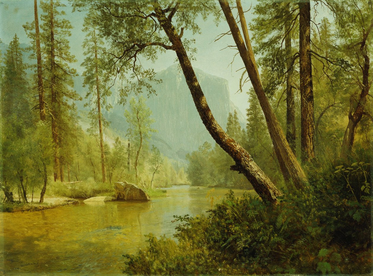 Floresta iluminada pelo sol de Albert Bierstadt