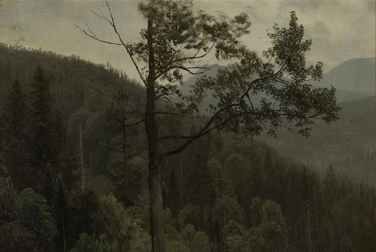 Montanhas cobertas de árvores de Albert Bierstadt