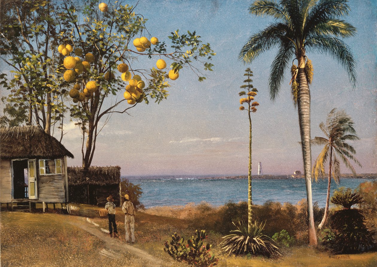 Cena Tropical de Albert Bierstadt