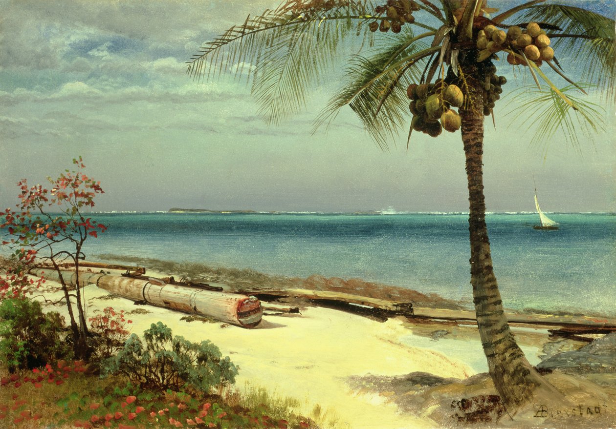 Imagem desconhecida de Albert Bierstadt