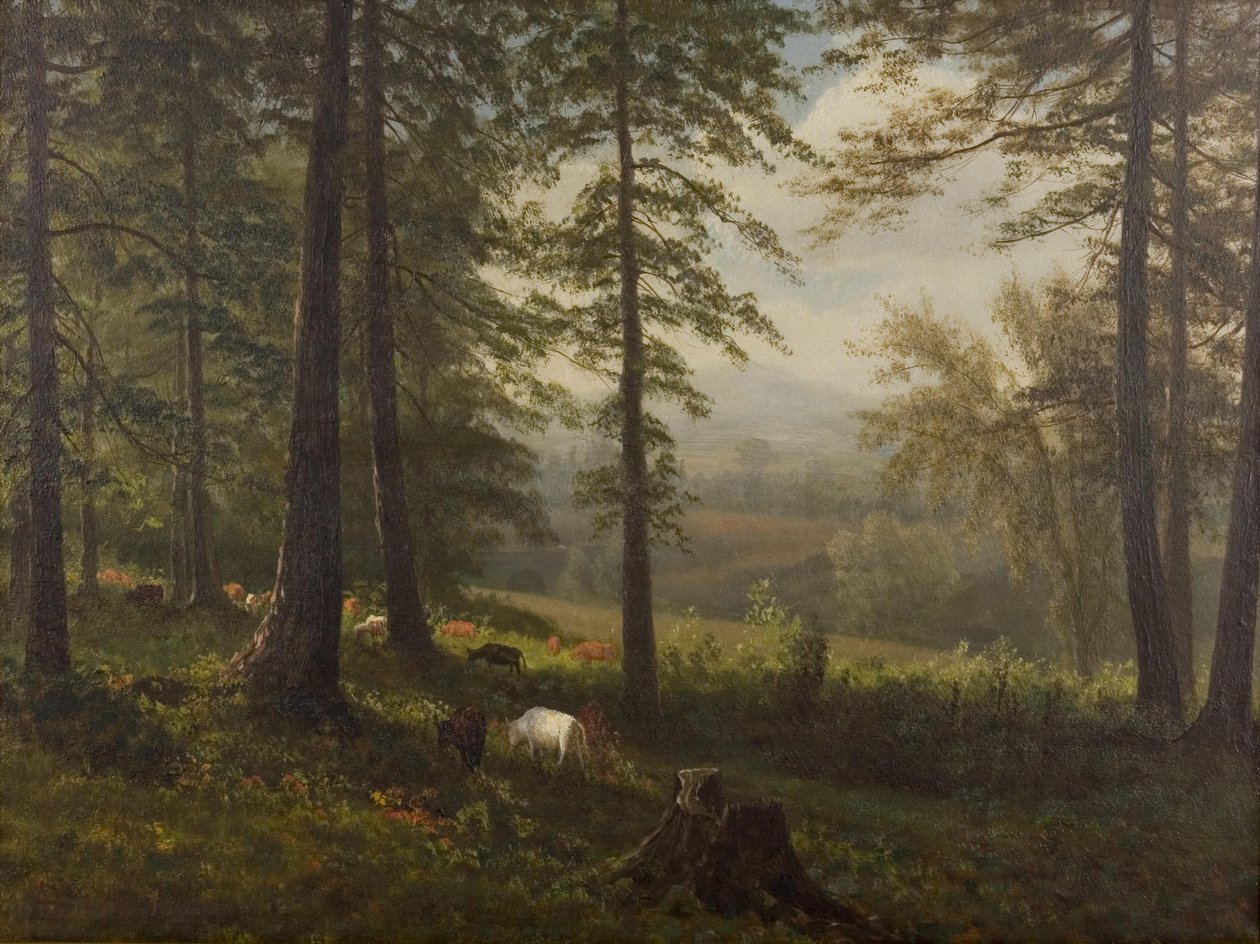 Vista para uma clareira de Albert Bierstadt