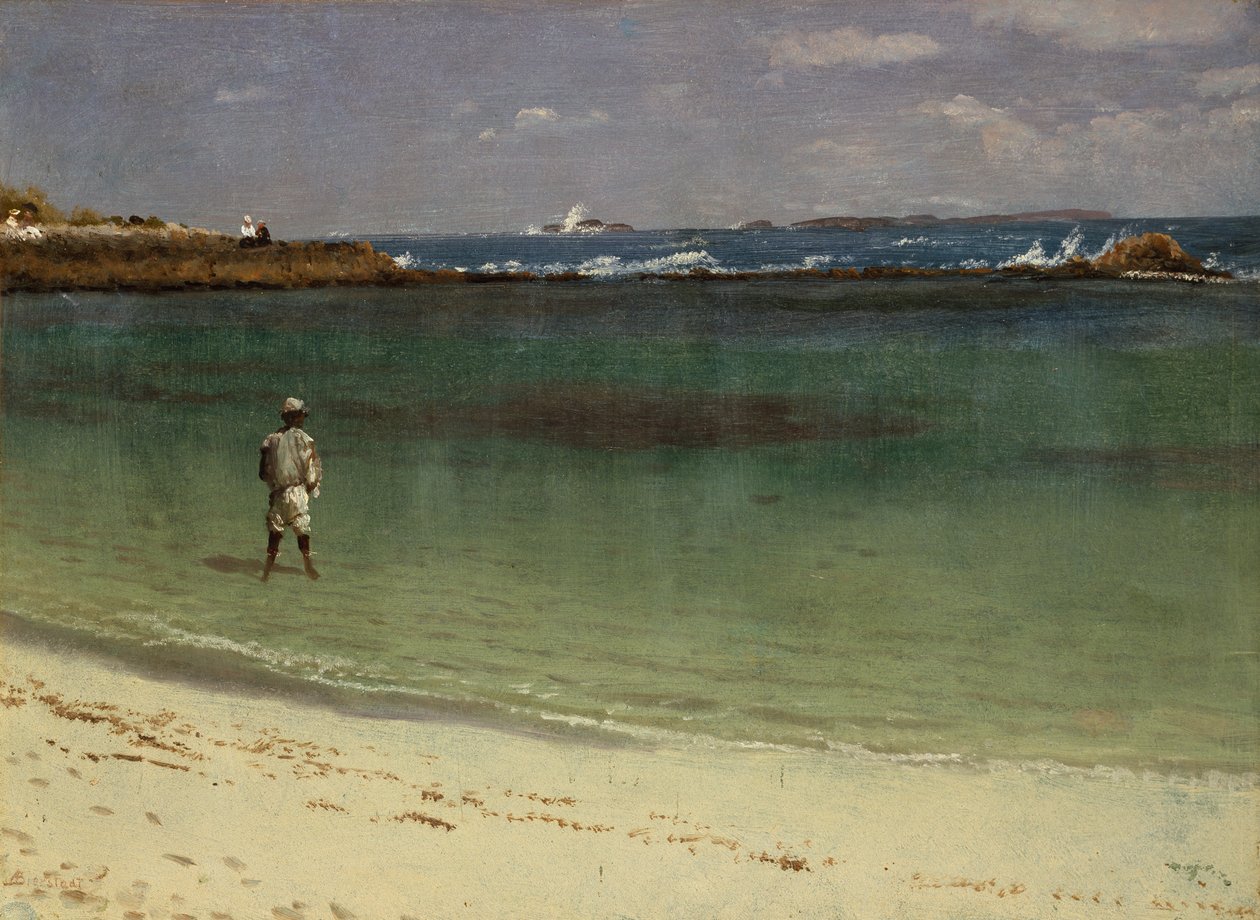 Cena da costa das Índias Ocidentais, c.1880-93 (óleo sobre papel montado em painel de fibras) de Albert Bierstadt