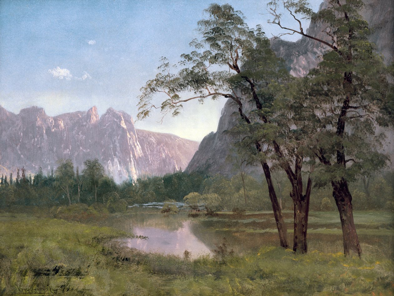 Vale de Yosemite (óleo sobre papel montado sobre tela) de Albert Bierstadt