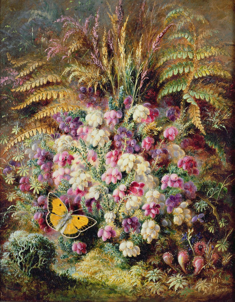 Bell Heather, 1877 de Albert Durer Lucas