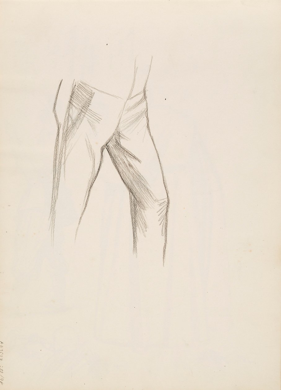 A parte inferior do corpo masculino de Albert Edelfelt