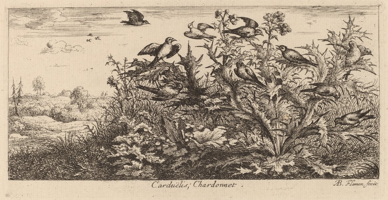 Carduelis, O Pintassilgo de Albert Flamen