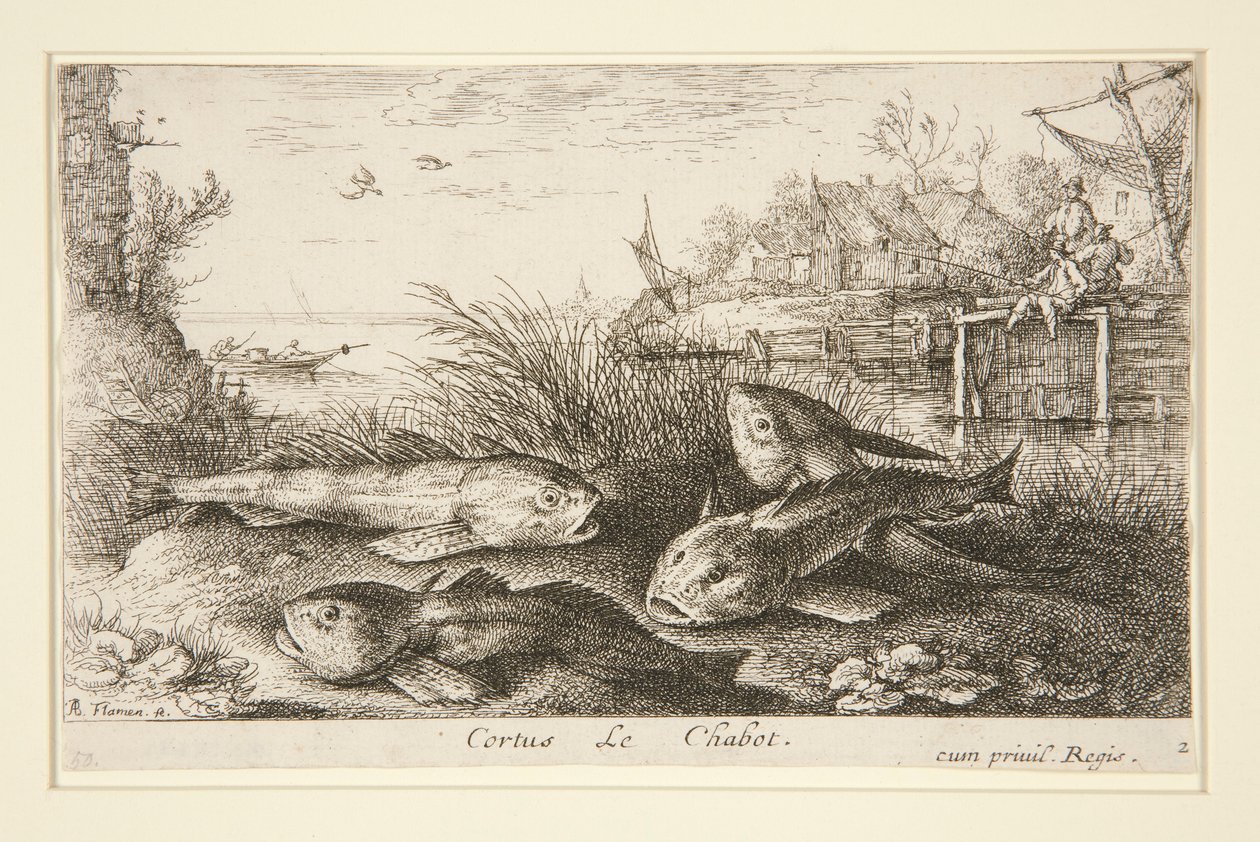 Cortus, Le Chabot de Albert Flamen
