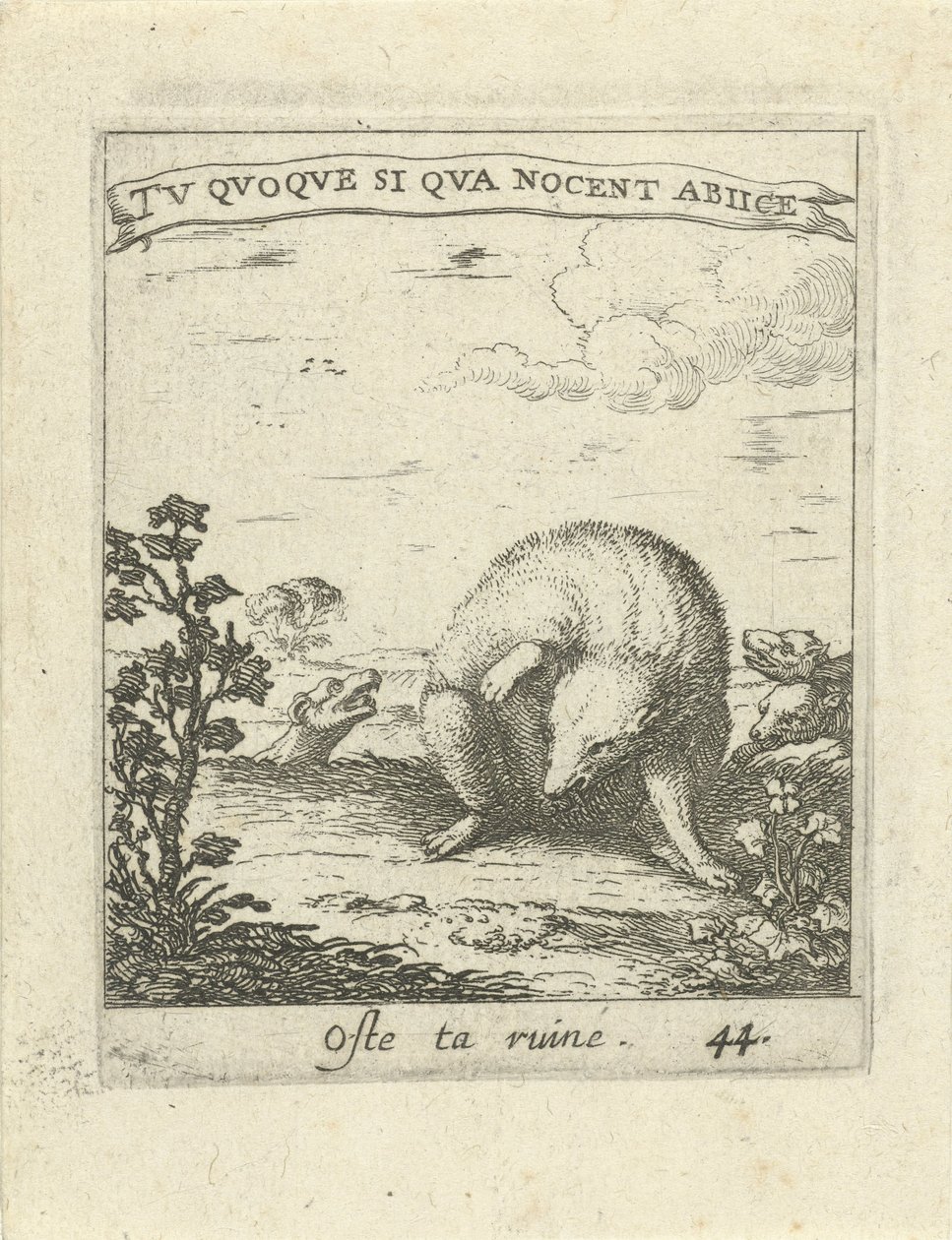 Texugo escapa dos lobos Moralizing Love Emblems (título da série) Devises et emblesmes d