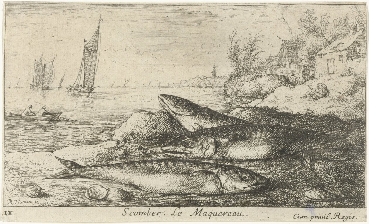 Três cavalas na praia Scomber. Le Maquereau. (título no objeto) Peixes e outras criaturas marinhas - primeira série de água salgada (título da série) Diverse Especes de Poissons de mer (título da série) de Albert Flamen