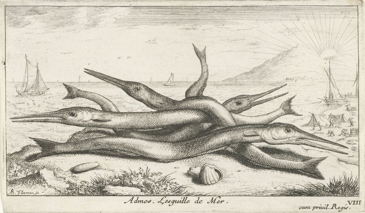 Pegada na praia
Admos. Lesguille de Mer (título sobre o objecto).
Peixes e outros animais marinhos - terceira série de água salgada (título da série)
Poissons de mer (título da série) de Albert Flamen
