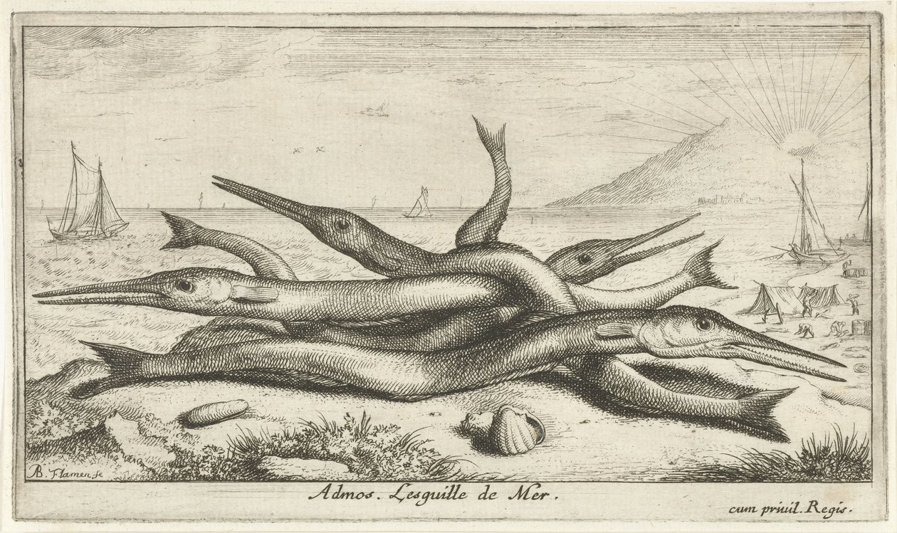 Pegada na praia
Admos. Lesguille de Mer (título sobre o objecto).
Peixes e outros animais marinhos - terceira série de água salgada (título da série)
Poissons de mer (título da série) de Albert Flamen