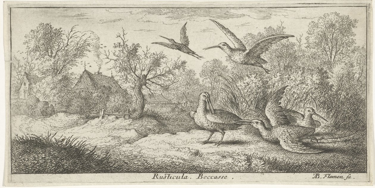paisagem com galinholas Rusticula. Becasse. (título no objeto) Livro de pássaros (título da série) Livre d