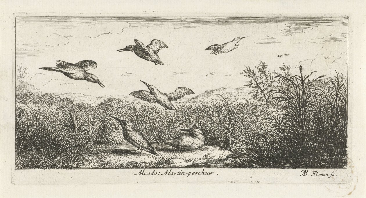 Paisagem com martim-pescador alcedo; Martin Pecrack. (título no objeto) Livro de pássaros (título da série) Livre d
