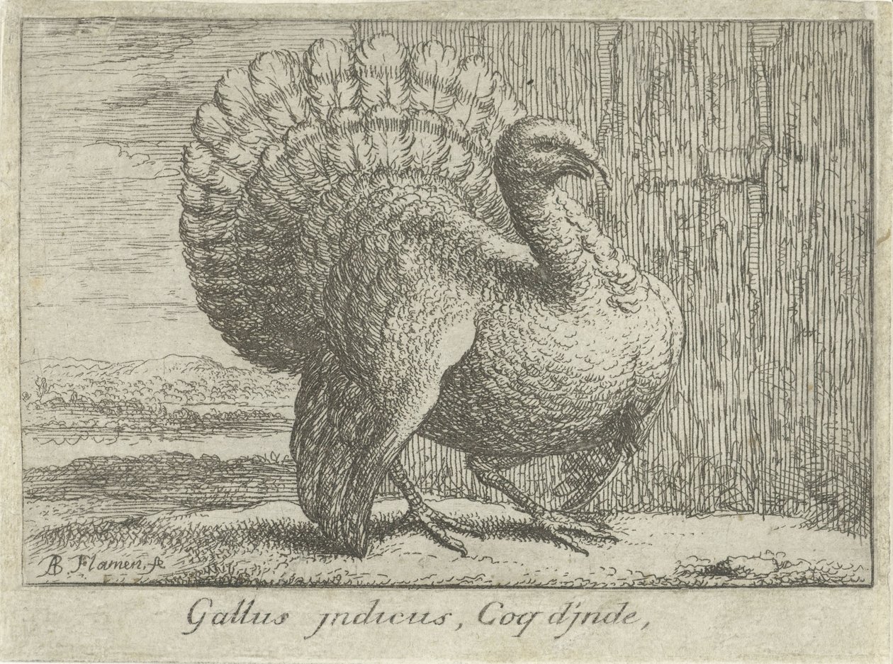Landschap com Kalkoen Gallus indicus, Coq d