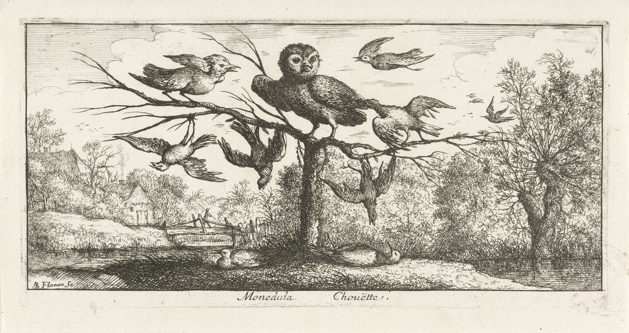 Paisagem com coruja de celeiro entre outras aves Monedula Chouette. (título no objeto) Livro de pássaros (título da série) Livre d