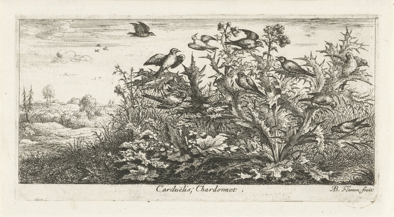 Paisagem com pintassilgo dourado no cardo
Carduëlis; Chardonnet. (título sobre o objecto)
Livro das aves (título da série)
Livre d