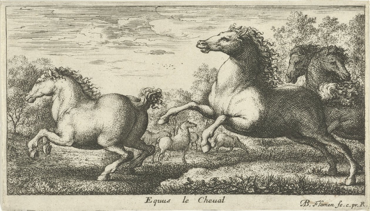 Cavalos Equus le Cheval (título no objeto) Diferentes espécies animais (título da série) de Albert Flamen