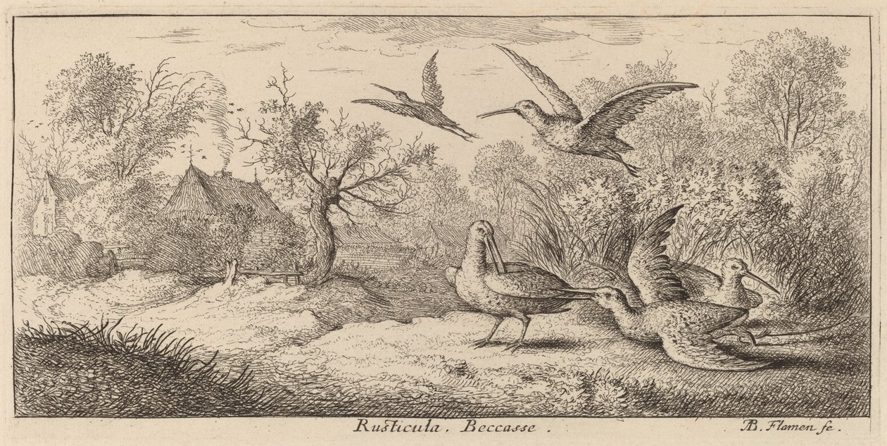 Rusticula, A Galinhola de Albert Flamen