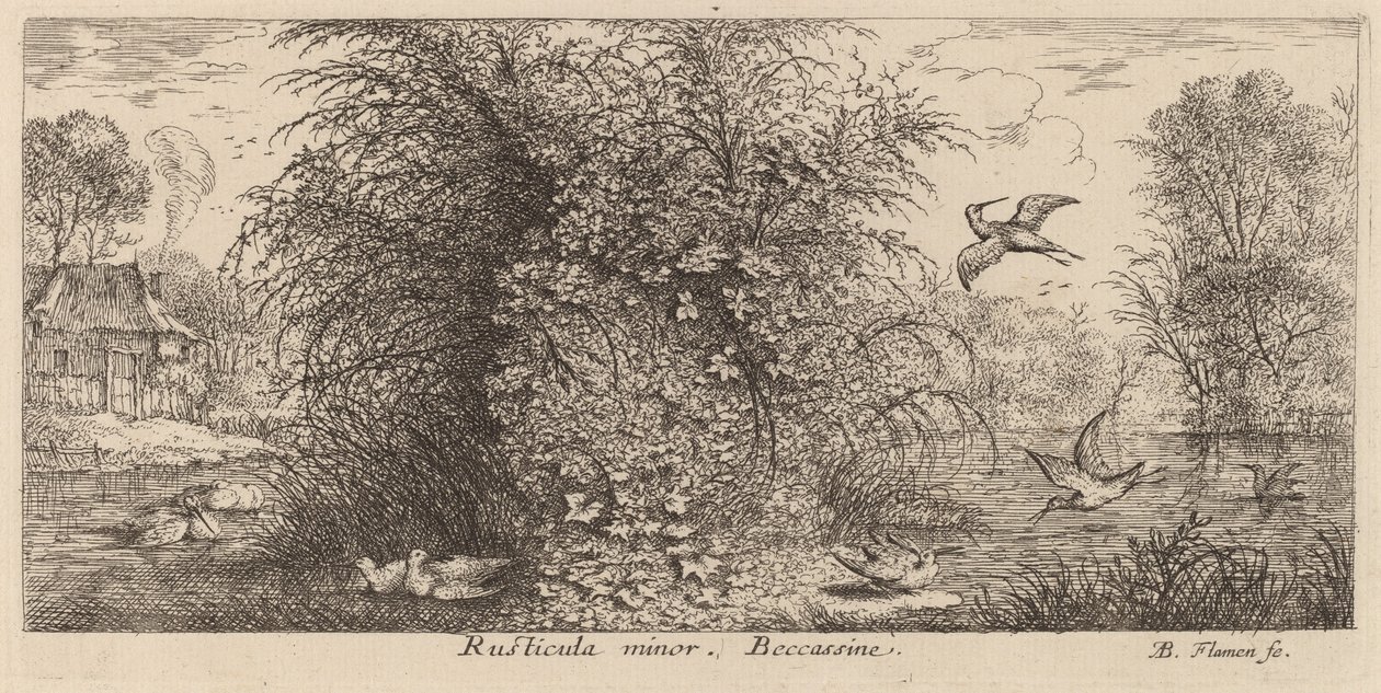 Rusticula menor, O Snipe de Albert Flamen