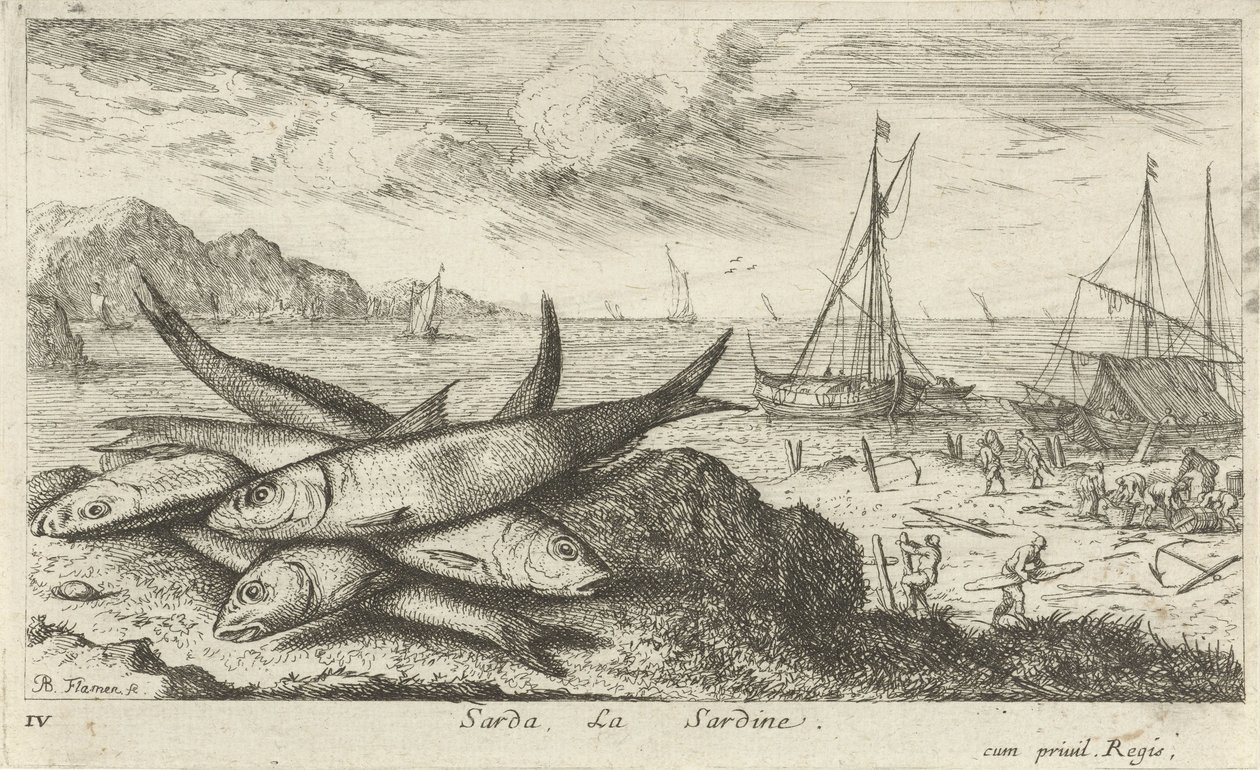 Sardinhas na praia
Sarda, La Sardine (título sobre o objecto)
Peixes e outros animais marinhos - primeira série de água salgada (título da série)
Diverses Especes de Poissons de mer (título da série) de Albert Flamen
