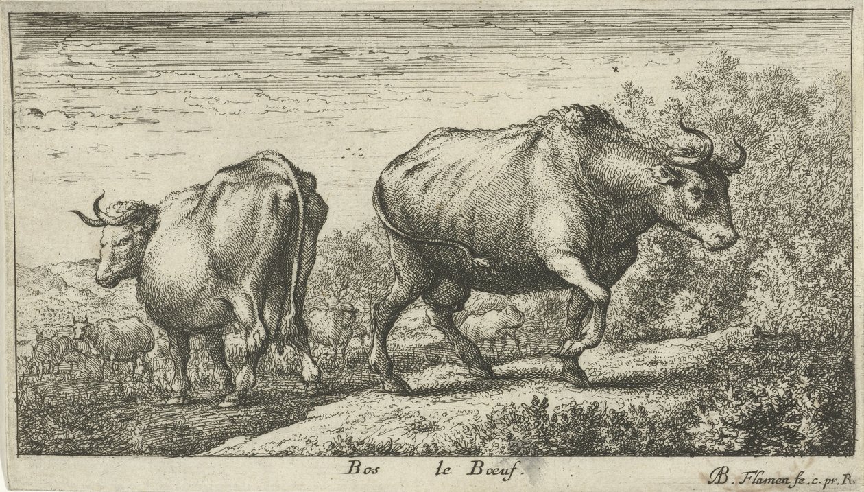 Touros
Bos le Boeuf (título sobre o objecto)
Várias espécies animais (título da série) de Albert Flamen