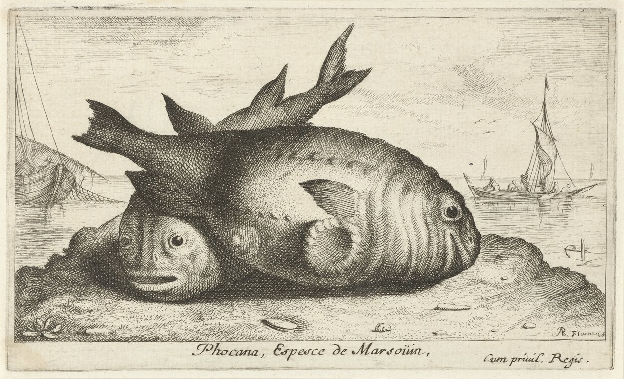 Dois botos na praia Phoca Na, Espèce de Marsoüin, (título no objeto) Peixes e outras criaturas marinhas - terceira série de água salgada (título da série) Poissons de mer (título da série) de Albert Flamen