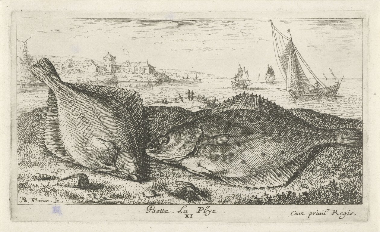 Dois peixes chatos na praia psetta. La Plye. (título no objeto) Peixes e outras criaturas marinhas - segunda série de água salgada (título da série) Poissons de mer (título da série) de Albert Flamen