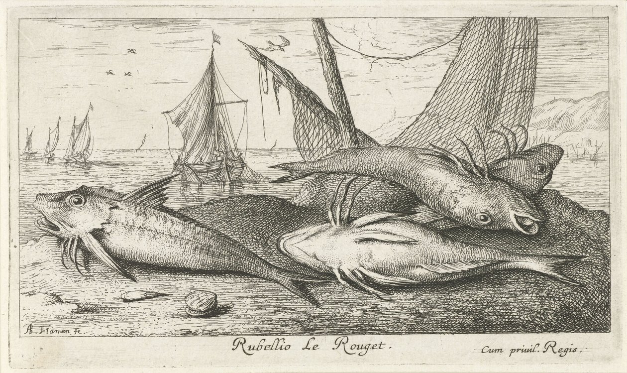 Quatro tainhas vermelhas na praia
Rubellio Le Rouget. (título sobre o objecto)
Peixes e outros animais marinhos - água salgada segunda série (título da série)
Poissons de mer (título da série) de Albert Flamen