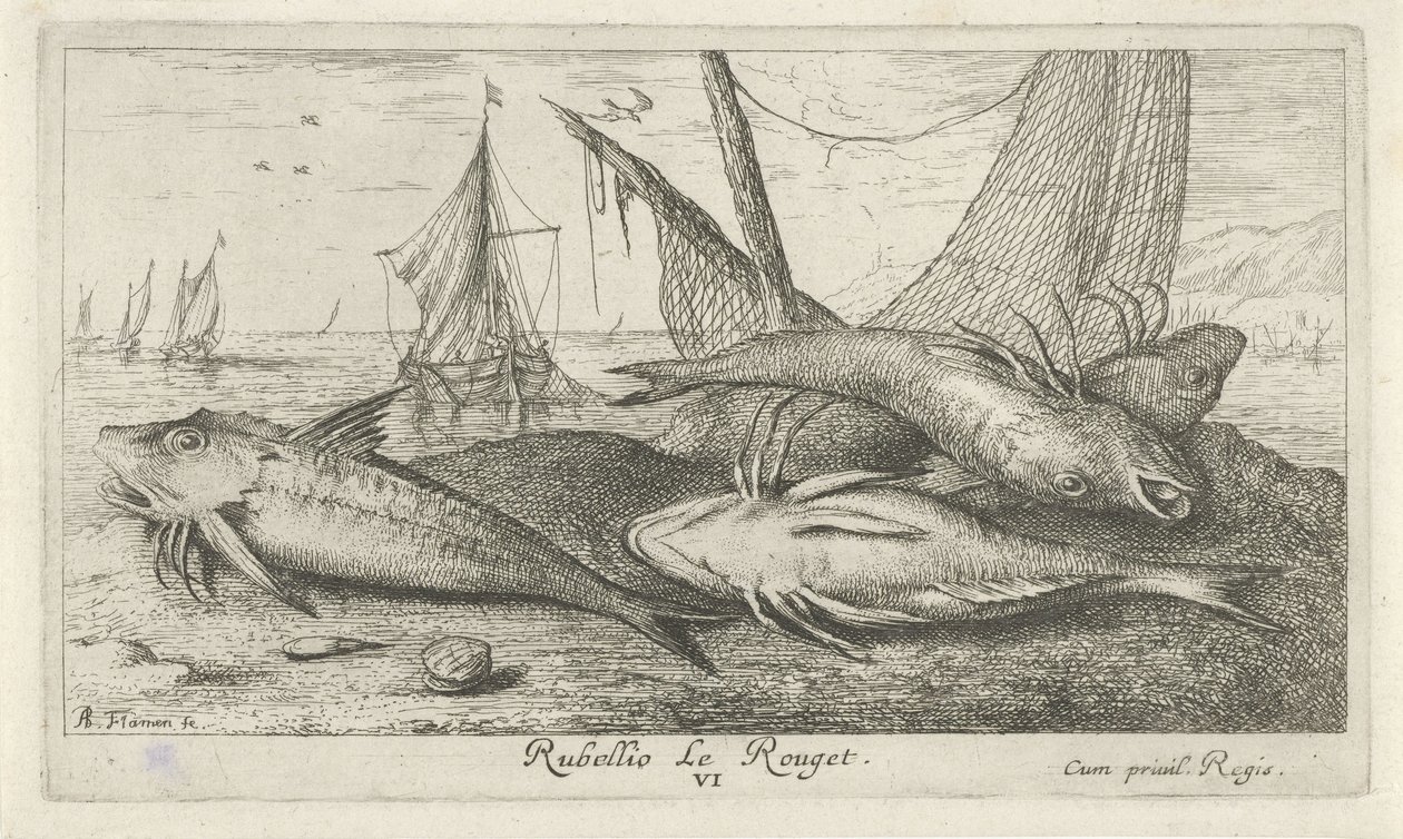 Quatro tainhas vermelhas na praia
Rubellio Le Rouget. (título sobre o objecto)
Peixes e outros animais marinhos - água salgada segunda série (título da série)
Poissons de mer (título da série) de Albert Flamen
