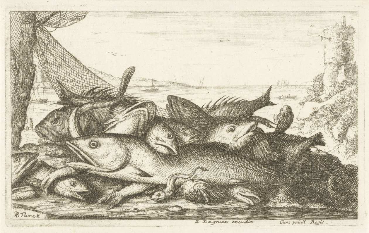 Pesca com caranguejo eremita
Diverses Especes De Poissons tant de Mer, que d