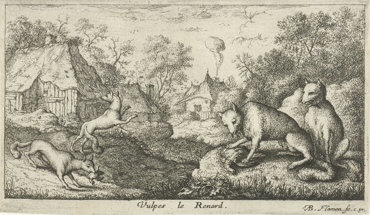raposas Vulpes le Renard (título no objeto) Diferentes espécies animais (título da série) de Albert Flamen