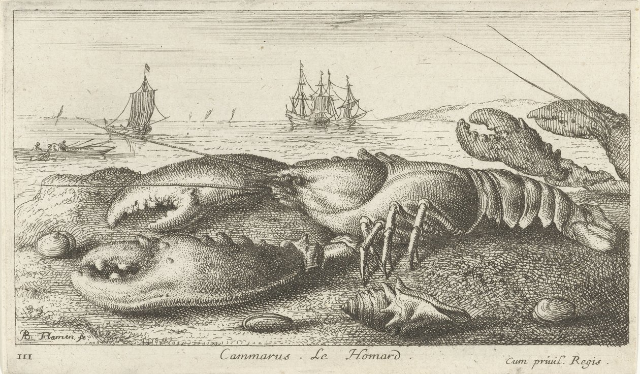 Lagosta na praia Cammarus. LeHomard (título no objeto) Peixes e outras criaturas marinhas - primeira série de água salgada (título da série) Diverse Especes de Poissons de mer (título da série) de Albert Flamen