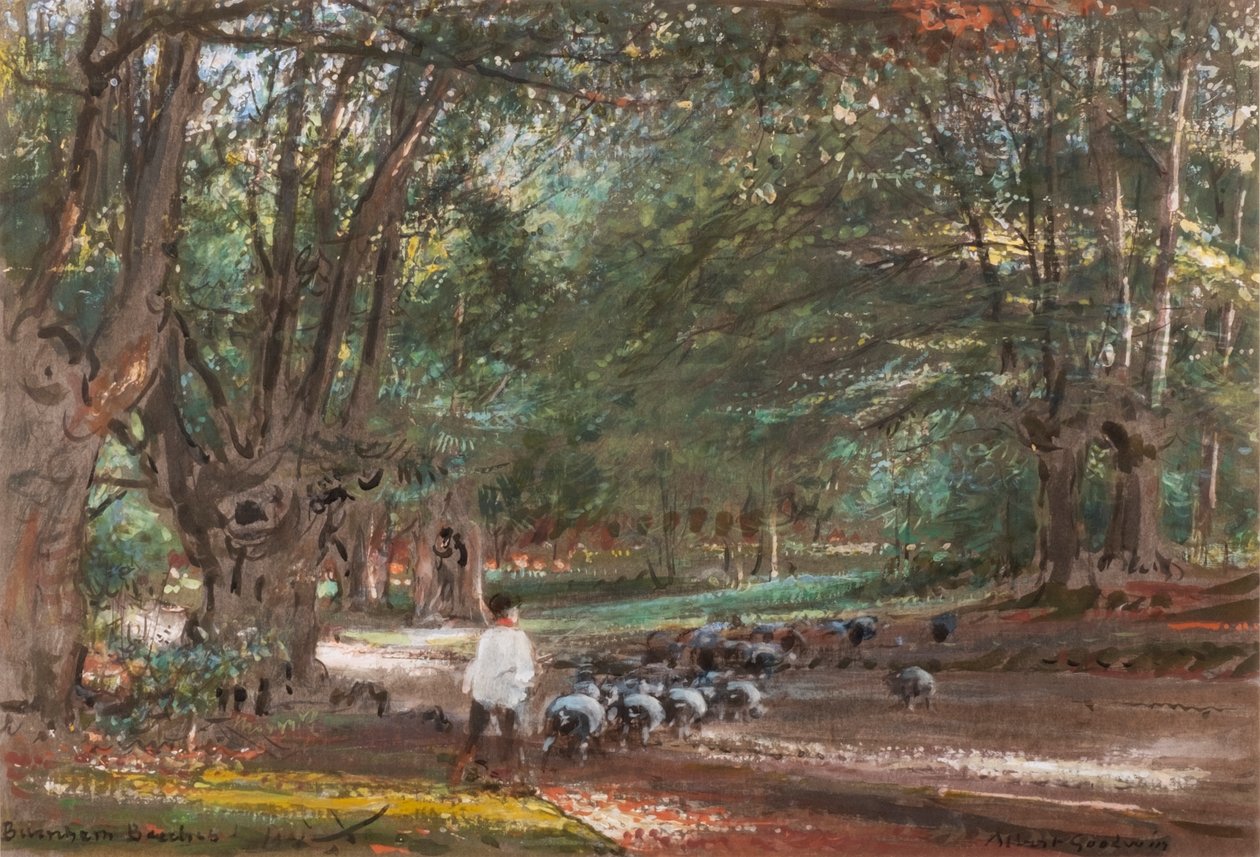 Burnham Beeches (aguarela e cor-de-rosa) de Albert Goodwin