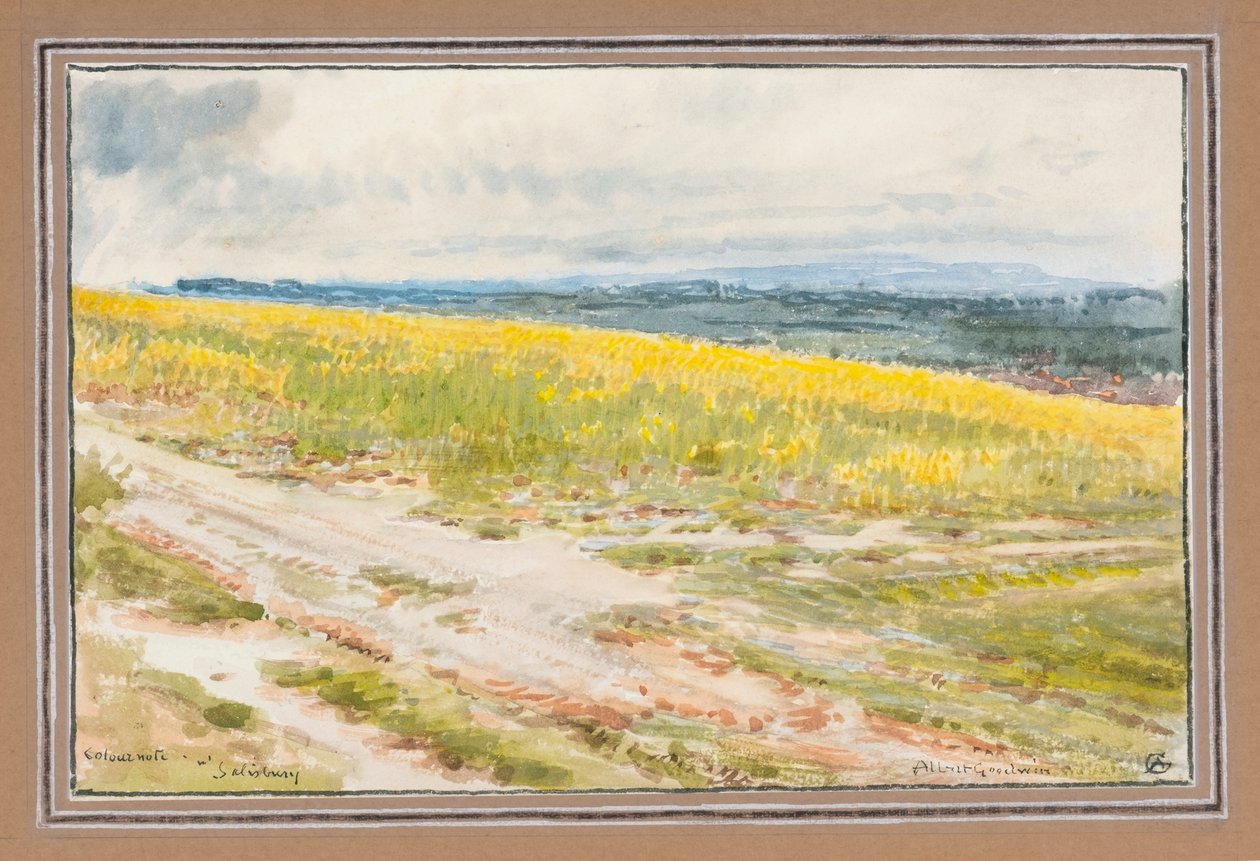 Nota de cor em Salisbury (aguarela) de Albert Goodwin