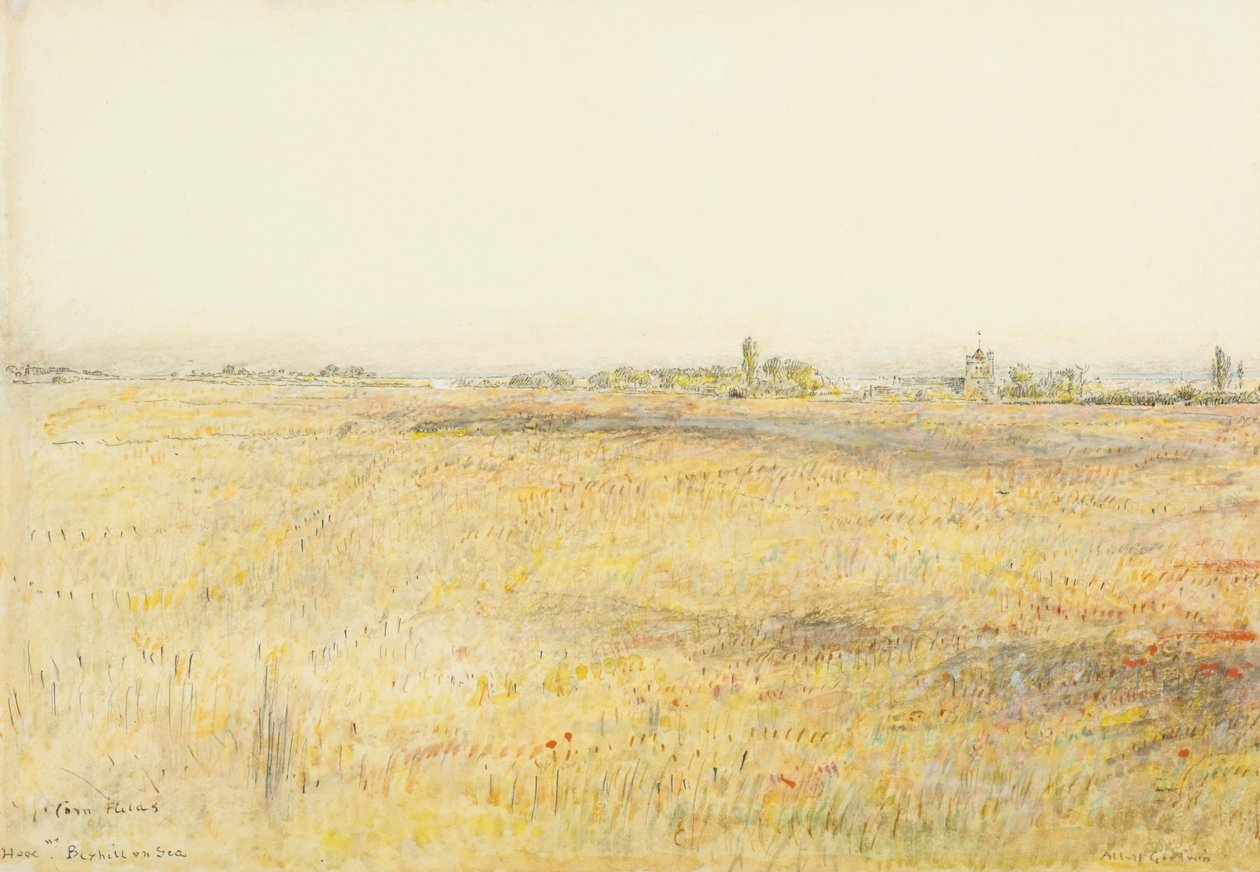 Campos de milho, Hooe. Bexhill on Sea (aguarela com tinta) de Albert Goodwin