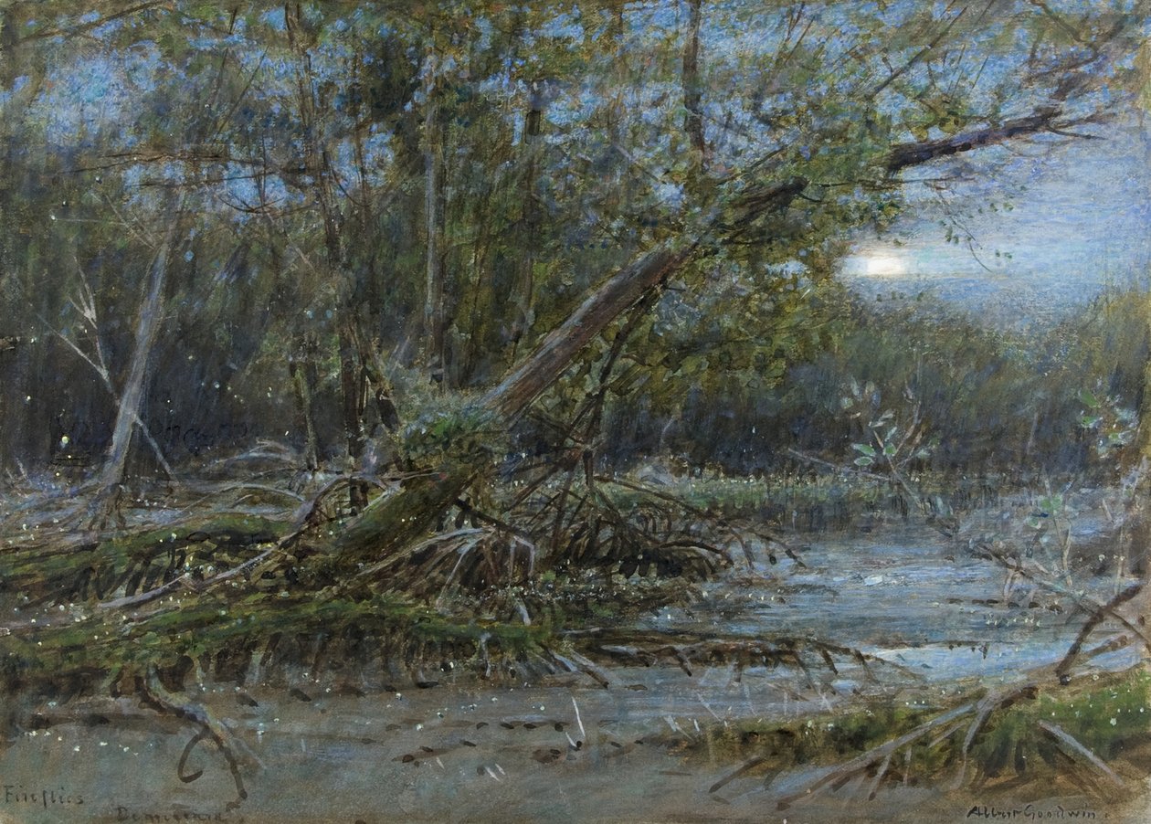 Fireflies, Demerera, c.1902 (w - ce cor do corpo no papel) de Albert Goodwin