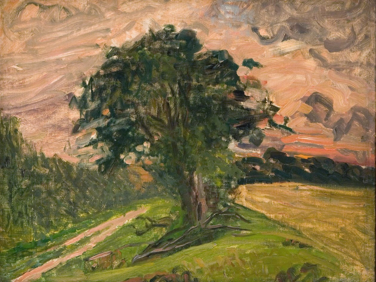 Paisagem da noite. Tisvilde de Albert Gottschalk