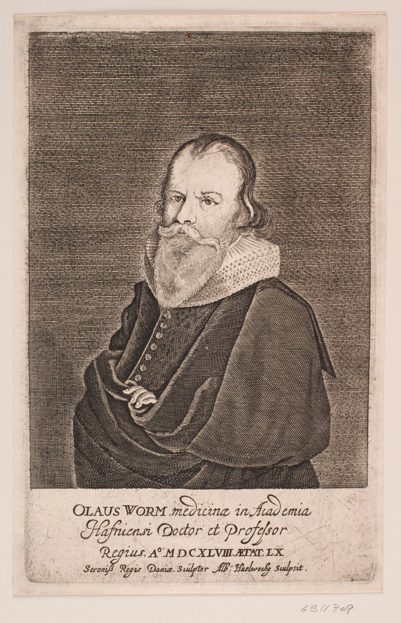 Verme Velho de Albert Haelwegh