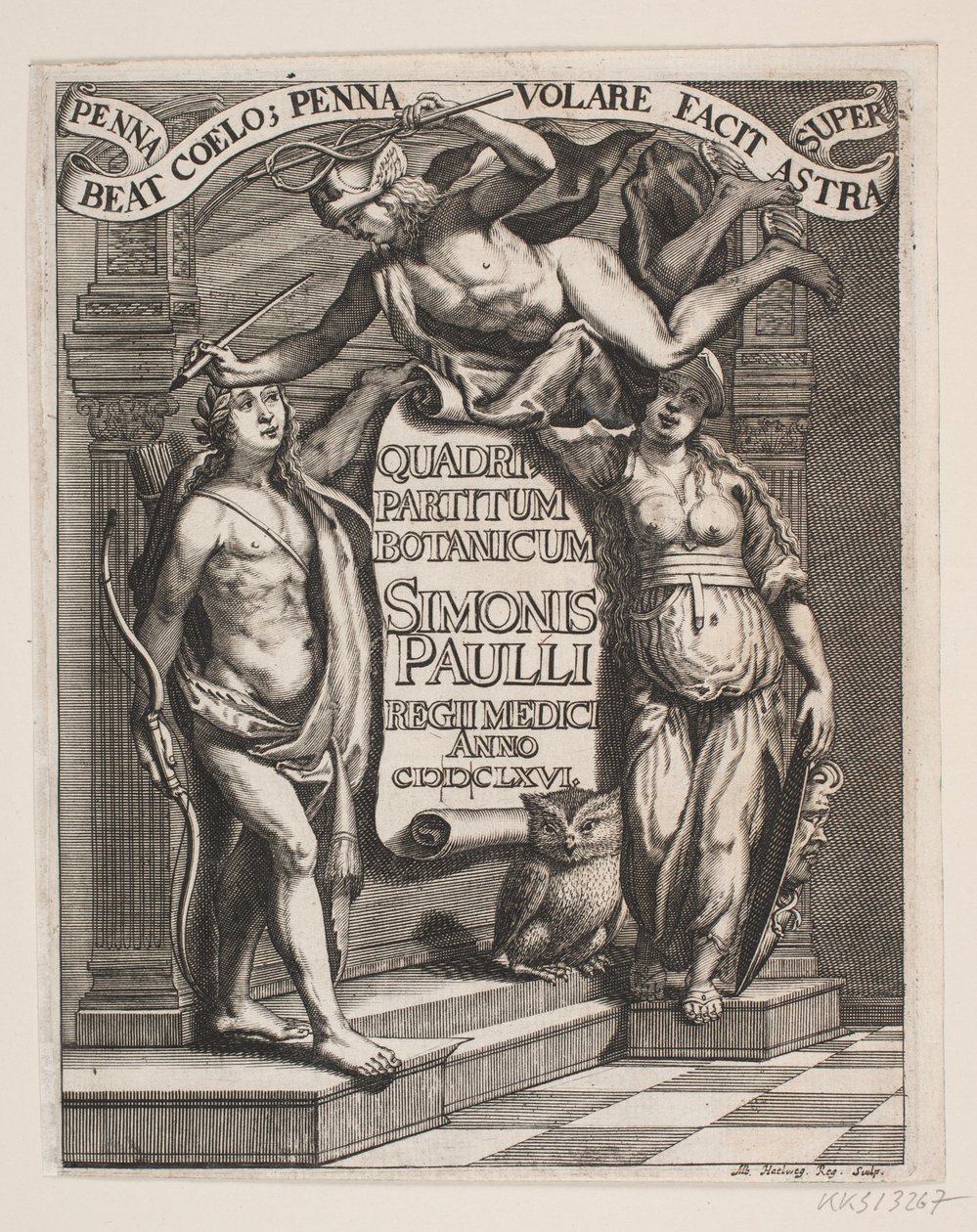 Titelblad til Simon Paulli, "Quadripartitum Botanicum", 1667 de Albert Haelwegh